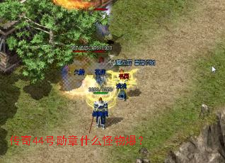 ����44��ѫ��ʲô���ﱬ��