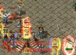 ���䴫���ʿ����ô�棿�������Ź���ȫ����