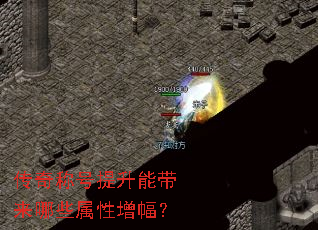 ����ƺ������ܴ�����Щ����������