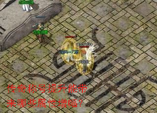 ����ƺ������ܴ�����Щ����������