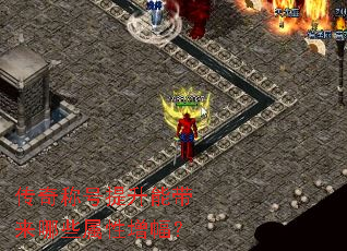 ����ƺ������ܴ�����Щ����������