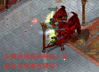 ��ο��������ȼ���װ����ȡ����Щ�ݾ���