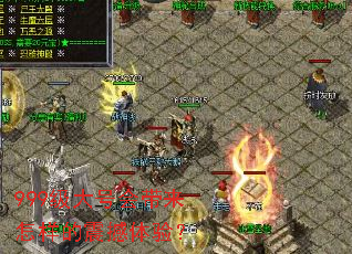 999����Ż���������������飿