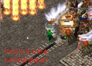 999����Ż���������������飿