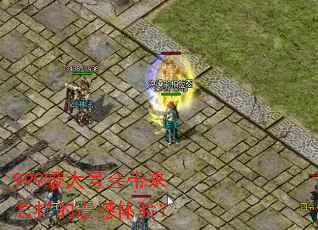 999����Ż���������������飿