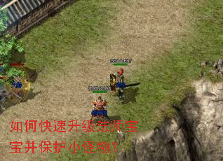 ��ο���������ʦ����������С���