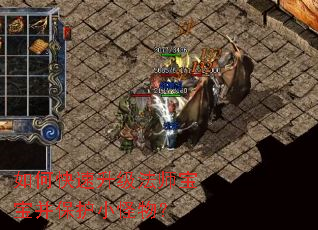 ��ο���������ʦ����������С���