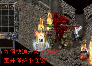 ��ο���������ʦ����������С���