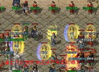 ��ʿ�����ο��ٻ�ȡ�߼�������