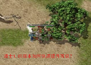 ��ʿ1.80�汾��ο��������ȼ���