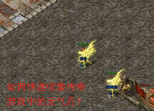 如何快速收集传奇游戏中的元气丹? 如何快速收集传奇游戏中的元气丹?