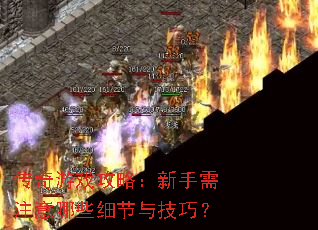 传奇游戏攻略:新手需注意哪些细节与技巧? 传奇游戏攻略:新手需注意哪些细节与技巧?