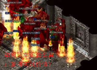 �����������װ��������ʵս��ֵ��