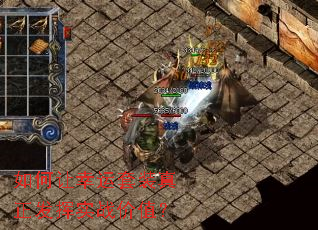 �����������װ��������ʵս��ֵ��