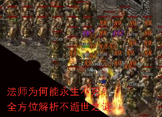 ��ʦΪ��������������ȫ��λ����������֮��