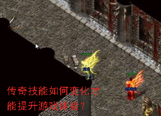 ���漼����α仯����������Ϸ���飿