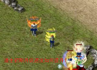 ��ʿ���������ٶ����������