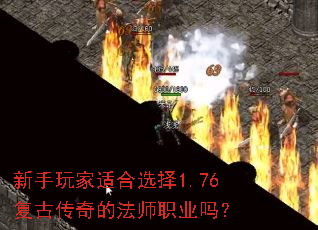 ��������ʺ�ѡ��1.76���Ŵ���ķ�ʦְҵ��