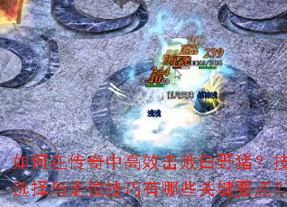 ����ڴ����и�Ч���ܰ�Ұ��������ѡ������λ��������Щ�ؼ�Ҫ�㣿