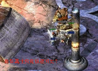 ��װ���Ծ���ǿ�ںδ���