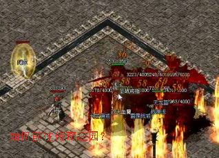 ���ǰ������ׯ԰��