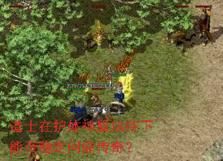 ��ʿ�ڻ�����ܼӳ����ܷ��ȶ��ʶ����棿