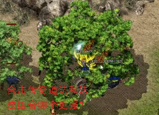 合击传奇道法和法法组合哪个更强? 合击传奇道法和法法组合哪个更强?