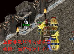 ��ְҵ˽���ʺ������������ο������֣�