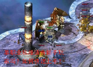 ��ְҵ˽���ʺ������������ο������֣�