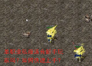 ��ְҵ˽���ʺ������������ο������֣�