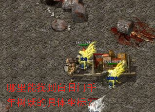 哪里能找到白日门千年树妖的具体坐标? 哪里能找到白日门千年树妖的具体坐标?