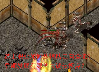 ��ʿְҵ��δӸ�������ȫ�ܣ����ڷ�չ����Щ�ؼ�ת�۵㣿