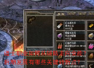 ��ʿְҵ��δӸ�������ȫ�ܣ����ڷ�չ����Щ�ؼ�ת�۵㣿