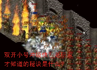 ˫��С�ų弶�죿����Ҳ�֪�����ؾ���ʲô��