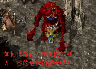 ���ѡ���¿�������վ�տ�һ�����������츳��