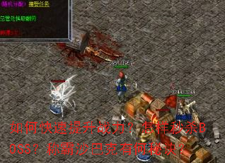 如何快速提升战力?怎样秒杀BOSS?称霸沙巴克有何秘诀? 如何快速提升战力?怎样秒杀BOSS?称霸沙巴克有何秘诀?