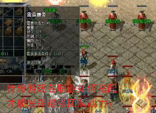 ������Ϸ��ְҵ��δ�����ܷ�����ǿ�Ŷ�ս����