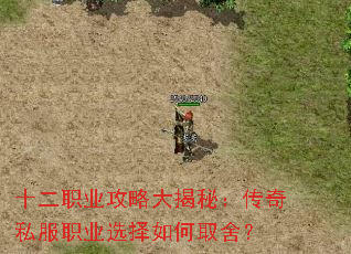 十二职业攻略大揭秘:传奇私服职业选择如何取舍? 十二职业攻略大揭秘:传奇私服职业选择如何取舍?