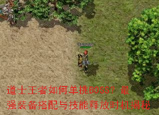 ��ʿ������ε���BOSS����ǿװ�������뼼���ͷ�ʱ������