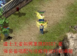 ��ʿ������ε���BOSS����ǿװ�������뼼���ͷ�ʱ������