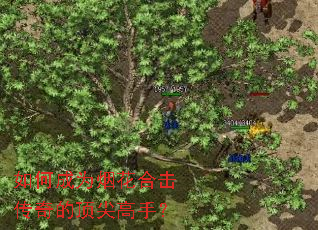 ��γ�Ϊ�̻��ϻ�����Ķ�����֣�