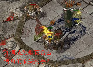 ��γ�Ϊ�̻��ϻ�����Ķ�����֣�