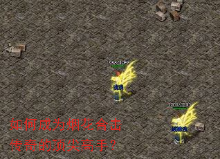 ��γ�Ϊ�̻��ϻ�����Ķ�����֣�