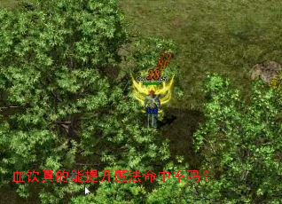 Ѫ�����������ħ����������