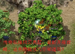 ����˽�������������¿������ԣ���Щ���ؼ�����֪����