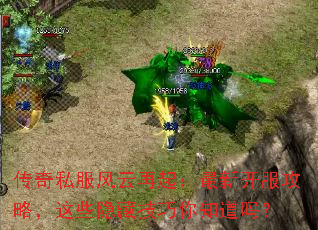 ����˽�������������¿������ԣ���Щ���ؼ�����֪����