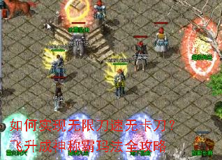 ���ʵ�����޵����޿�������������ư��귨ȫ����