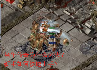 ���괫��Ϊʲô���������ο������֣�