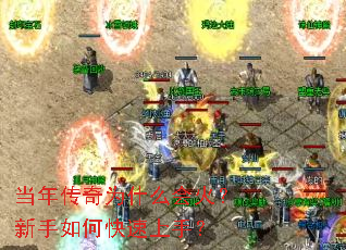 ���괫��Ϊʲô���������ο������֣�