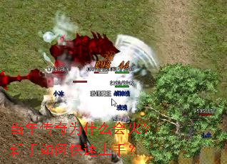 ���괫��Ϊʲô���������ο������֣�